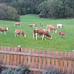 Σαλέ Anna With Mountain View *