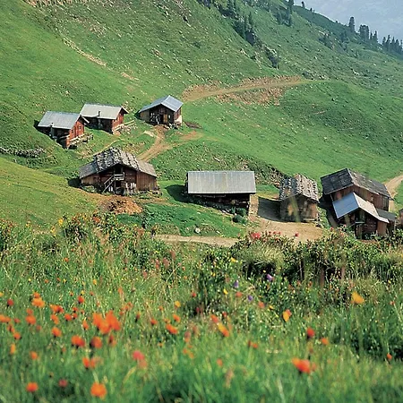 Alpehytte Anna With Mountain View Bruck am Ziller