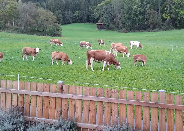 Chalet Anna With Mountain View *