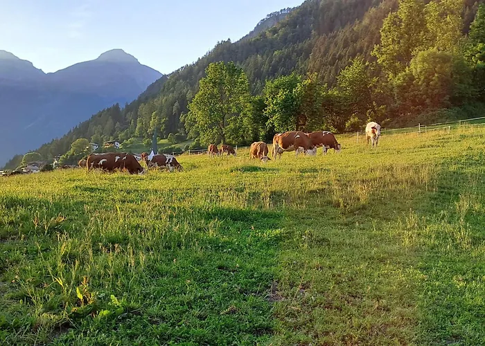 Anna With Mountain View